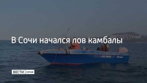 Камбала считается черноморским деликатесом, сейчас на курорте за день вылавливают от 100 до 200 килограммов этой рыбы