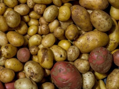 ��� ��������� ����� �������: ������� ��������� ��������