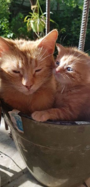 ������ ����, ������!. ��������� +13 ��