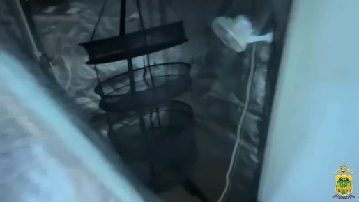 ����� � �������� � ��������: � ���� �������� ������������