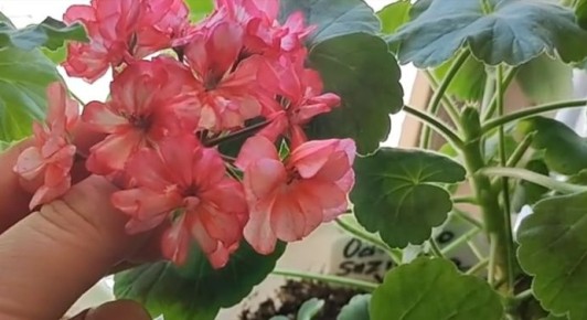 ���������� � ������: ��� �������� ��� ������������ ��������