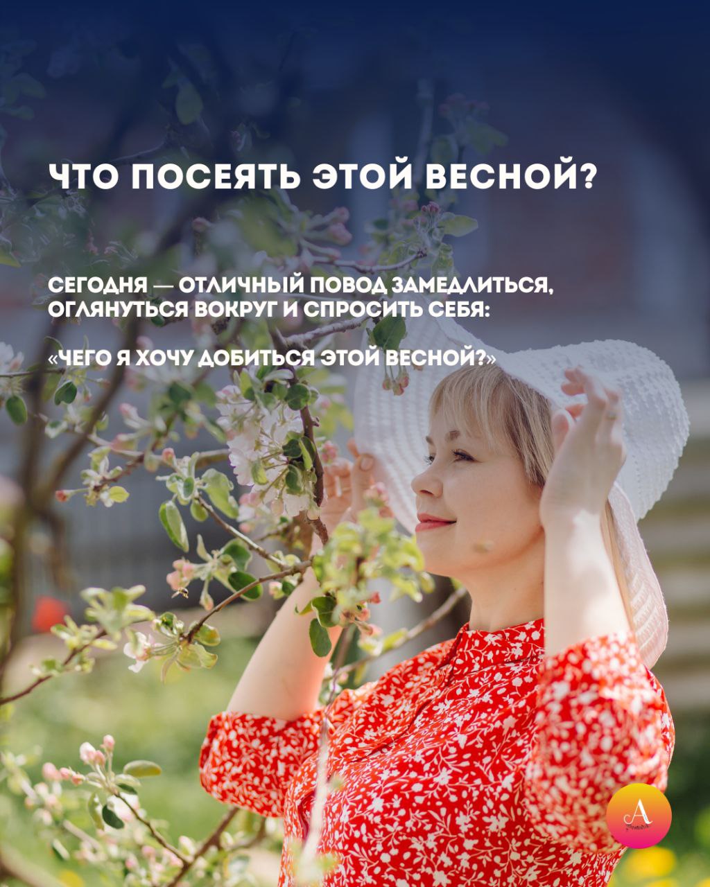 Весна официально вступает в чат Весна официально вступает в чат