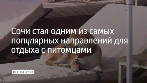 Сочи занял третье место в топе востребованных направлений для поездок с питомцами в марте одного из сервисов по бронированию отелей и квартир