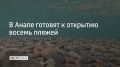 Восемь галечных пляжей в Анапе исключили из зоны ЧС. Они признаны полностью очищенными от последствий разлива мазута