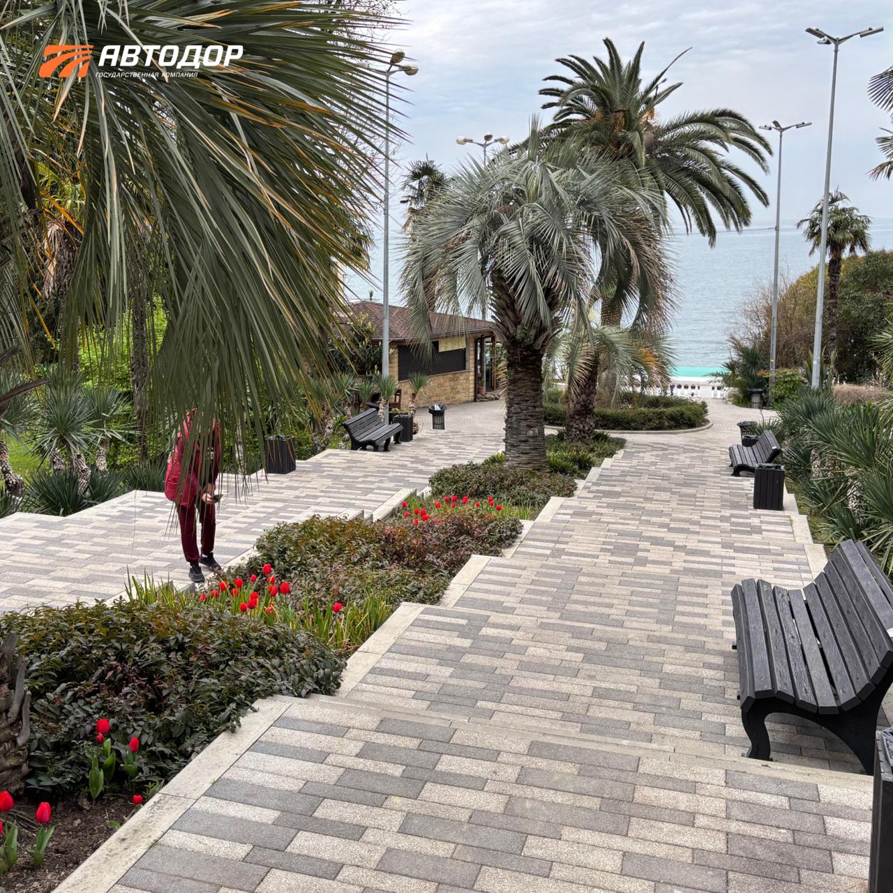 Один из символов сочинской весны – цветущие магнолии в парке «Южные культуры» Один из символов сочинской весны – цветущие магнолии в парке «Южные культуры»