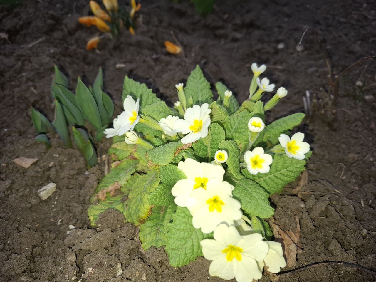 О погоде на 21 марта. В Краснодарском крае облачно с прояснениями О погоде на 21 марта. В Краснодарском крае облачно с прояснениями