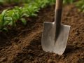 Зачем осенью нужна лопата: ключ к успешному урожаю