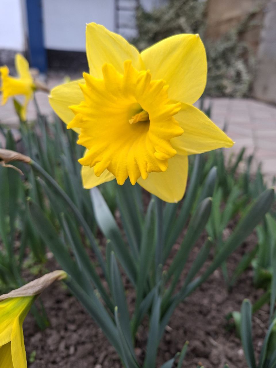 О погоде на 21 марта. В Краснодарском крае облачно с прояснениями О погоде на 21 марта. В Краснодарском крае облачно с прояснениями