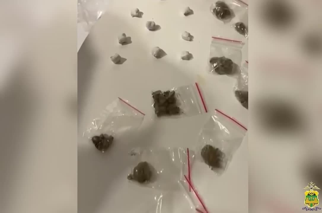 Наркокурьер из Сибири задержан с каннабисом в Сочи