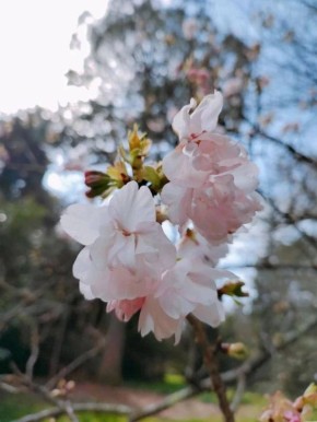 ����� ������ � �����, ���� � ��� ���� ���� ������?