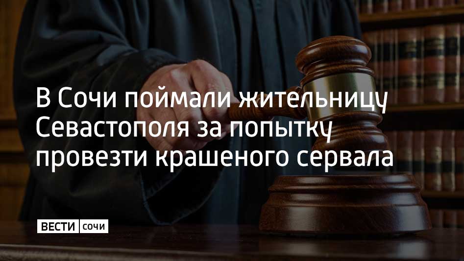 Адлерский районный суд вынес приговор жительнице Севастополя, которая пыталась незаконно вывезти из России сервала, сообщили в пресс-службе Южной транспортной прокуратуры