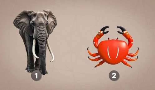 Как ваш выбор животного раскроет вашу злопамятность