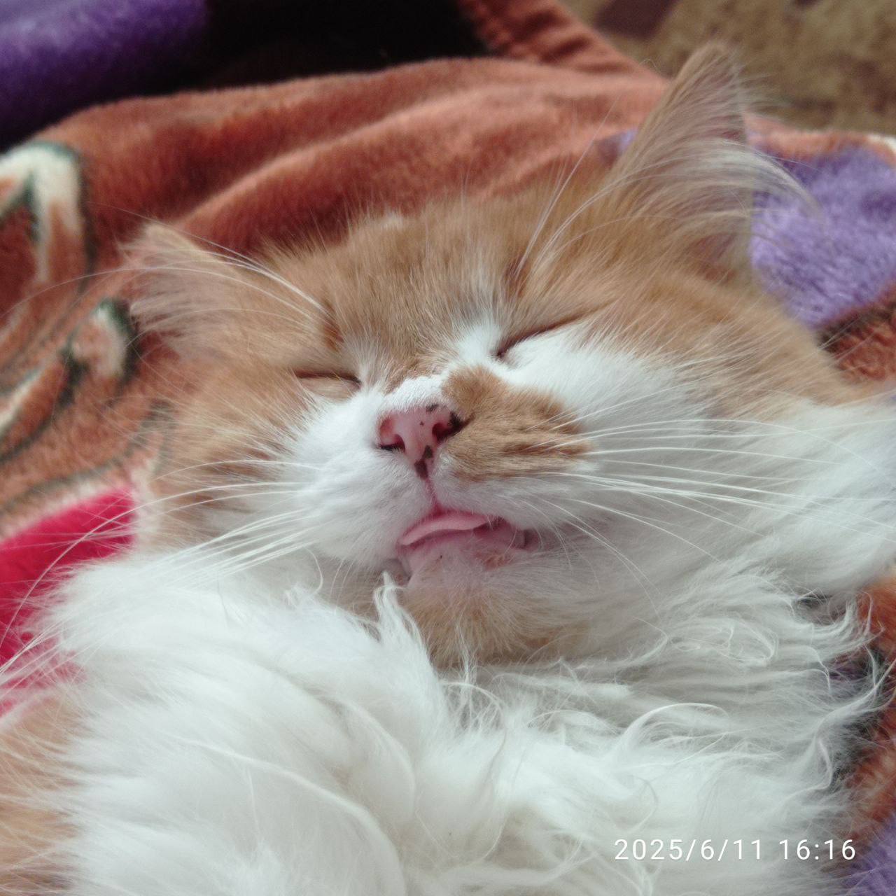 Доброе утро, Кубань!. Краснодар +16 °С Доброе утро, Кубань!. Краснодар +16 °С