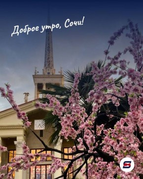 Доброе утро!. Факт: Сочи - город с самым мягким климатом на Черноморском побережье