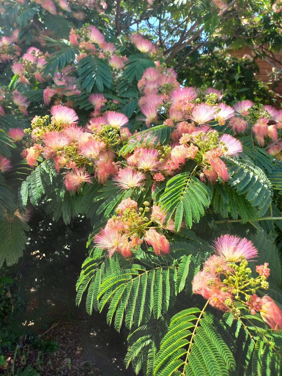 О погоде на 22 марта . В Краснодарском крае переменная облачность О погоде на 22 марта . В Краснодарском крае переменная облачность