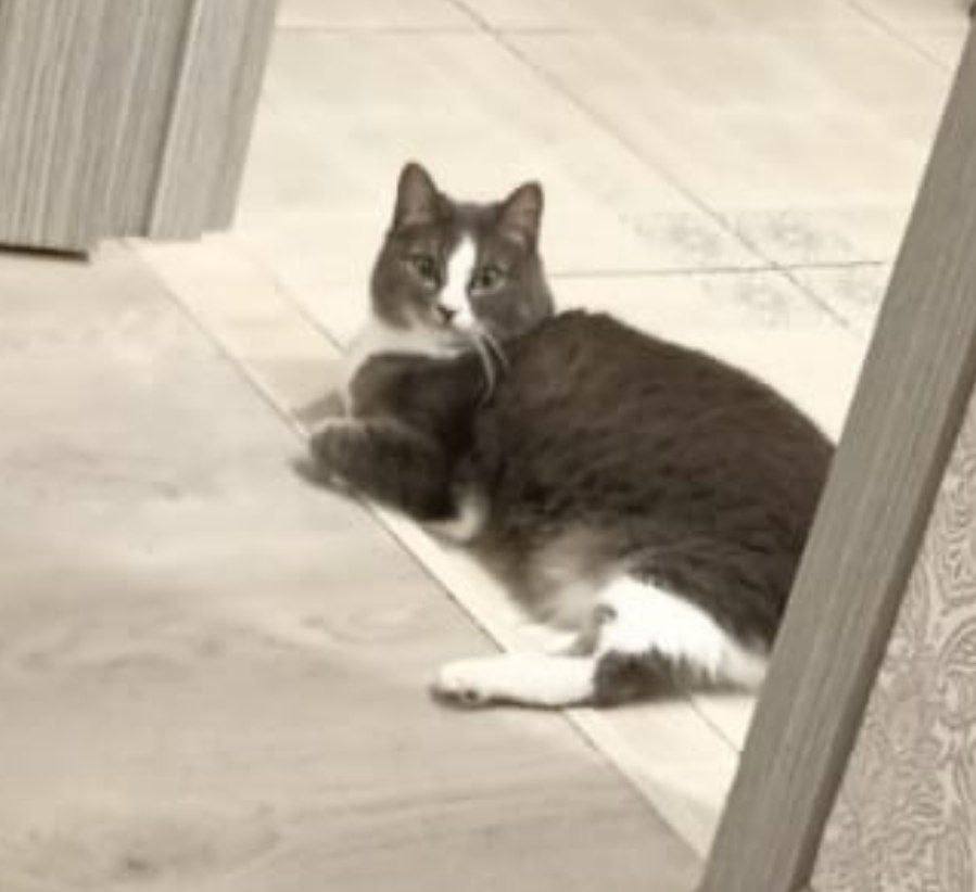 Доброе утро, Кубань!. Краснодар +16 °С Доброе утро, Кубань!. Краснодар +16 °С