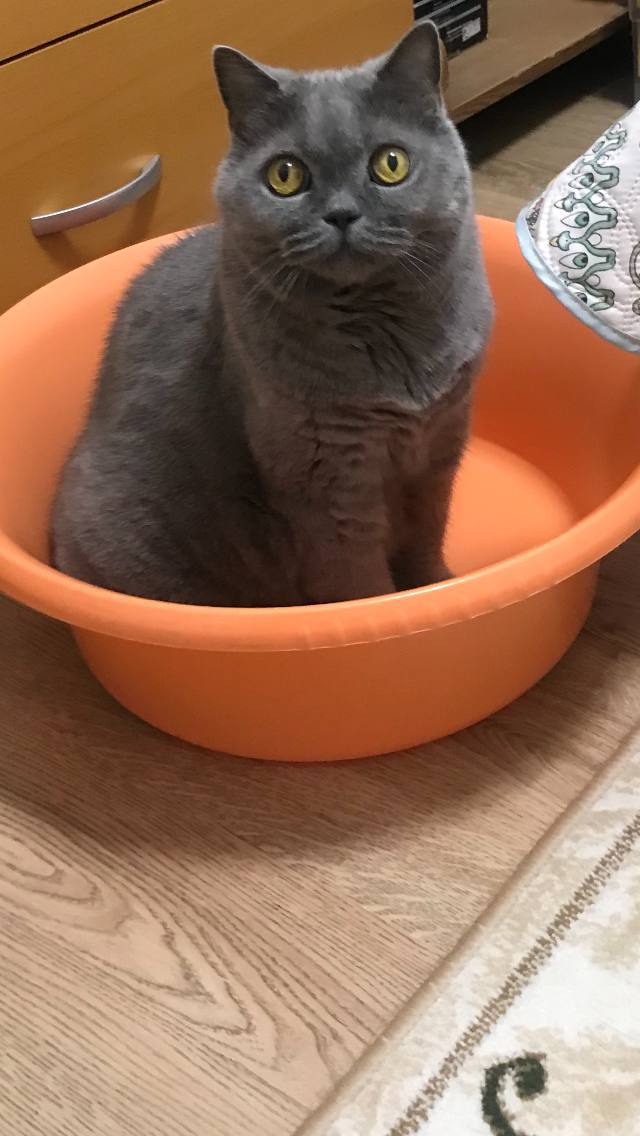 Доброе утро, Кубань!. Краснодар +16 °С