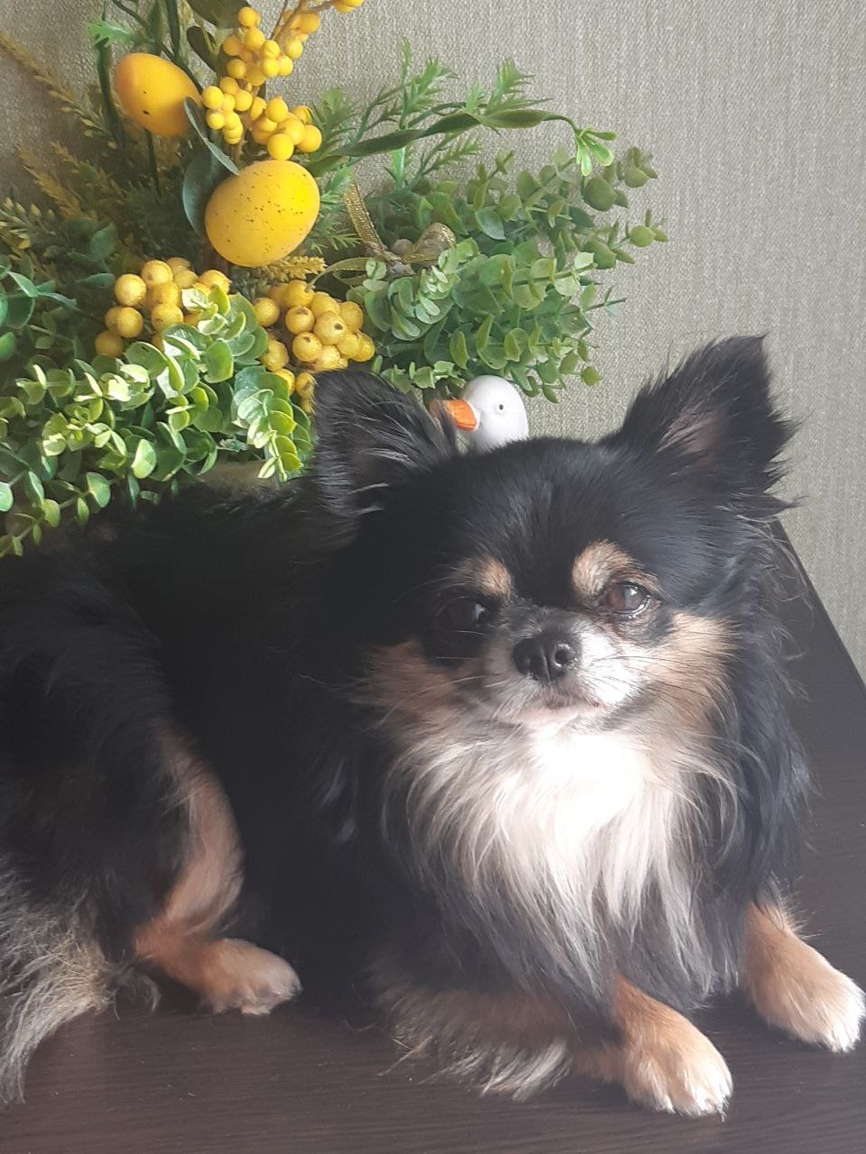 Доброе утро, Кубань!. Краснодар +7…+14°С