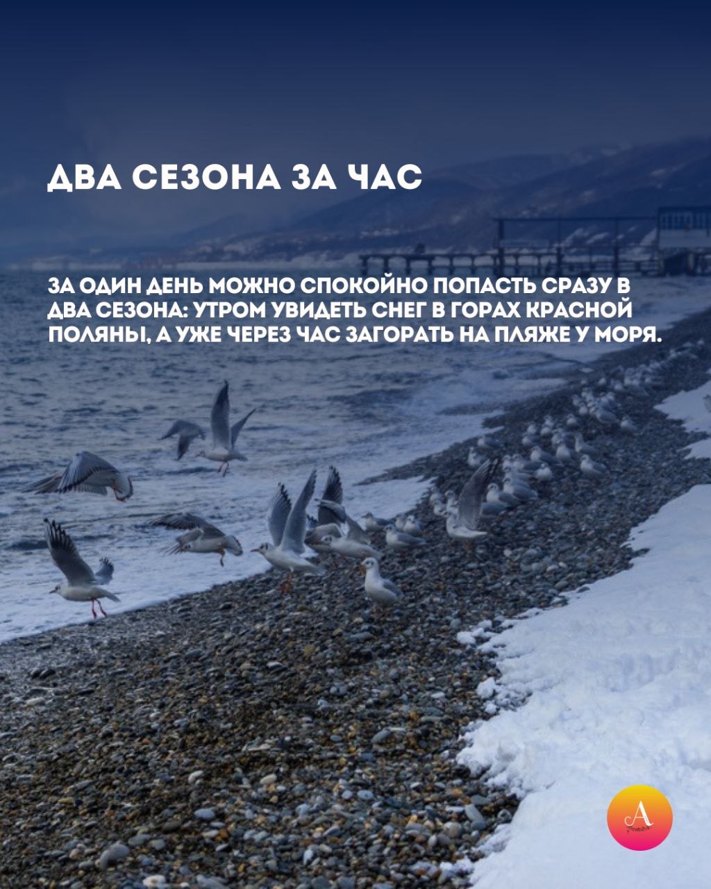 Сочи ломает географию. Мы собрали для вас самые неожиданные факты, после которых вы обязательно зададите вопрос: «А это точно в России?» 5 вещей о Сочи, легко ломающих привычное представление о климате и пространстве, в... Сочи ломает географию. Мы собрали для вас самые неожиданные факты, после которых вы обязательно зададите вопрос: «А это точно в России?» 5 вещей о Сочи, легко ломающих привычное представление о климате и пространстве, в...