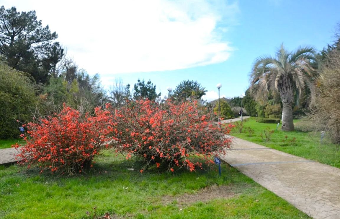 Доброе утро, любимый город!