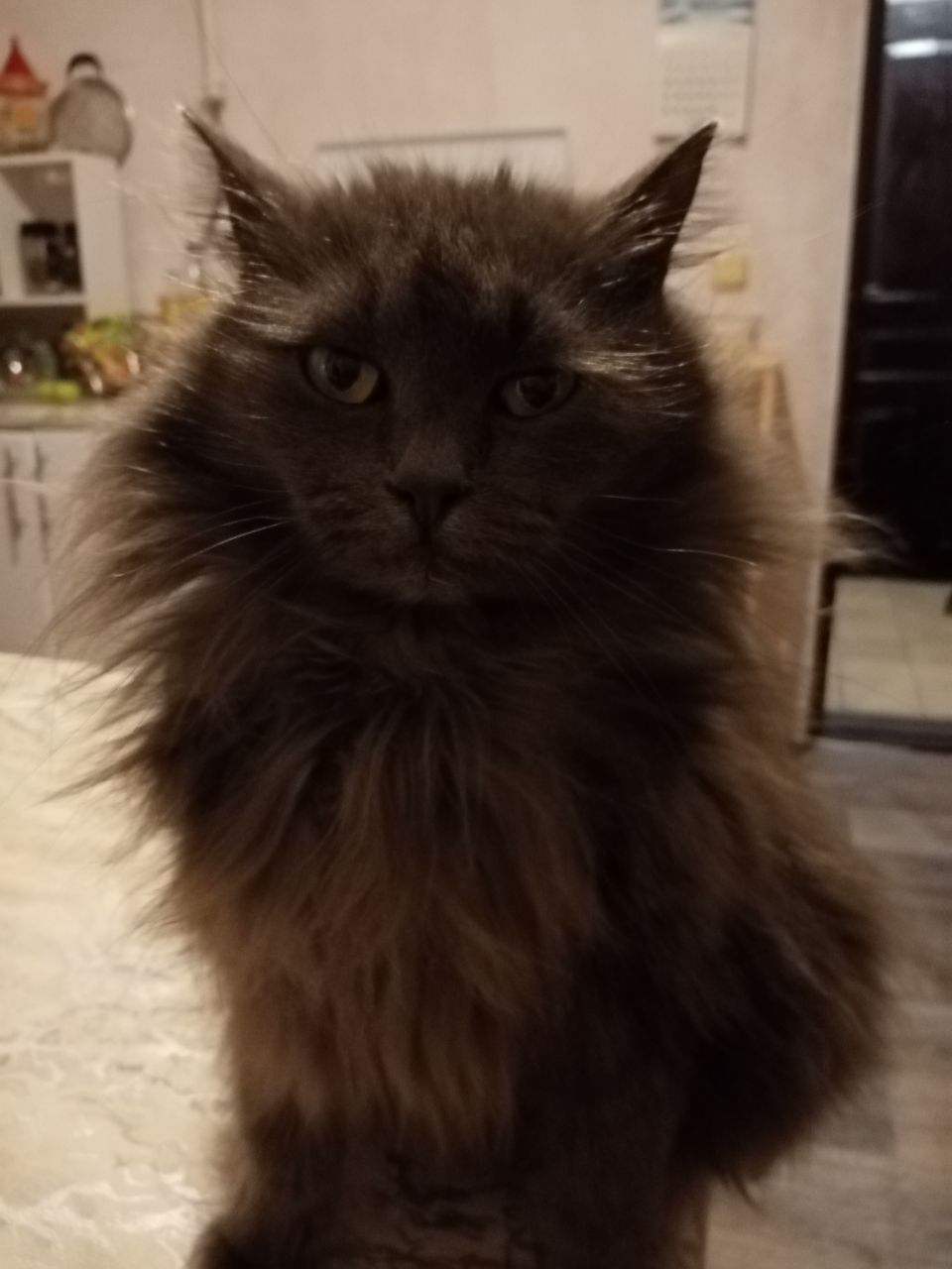 Доброе утро, Кубань!. Краснодар +7…+14°С Доброе утро, Кубань!. Краснодар +7…+14°С