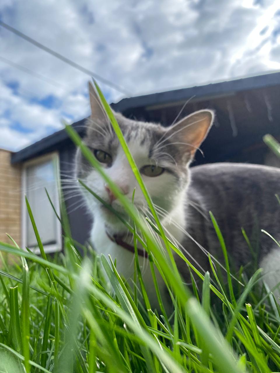 Доброе утро, Кубань!. Краснодар +7…+14°С Доброе утро, Кубань!. Краснодар +7…+14°С