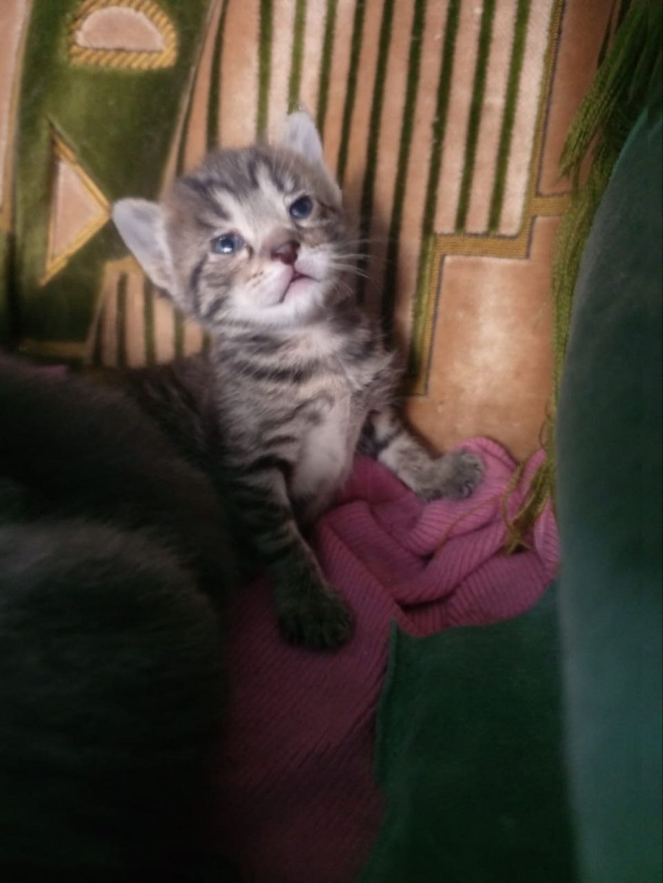 Доброе утро, Кубань!. Краснодар +7…+14°С Доброе утро, Кубань!. Краснодар +7…+14°С