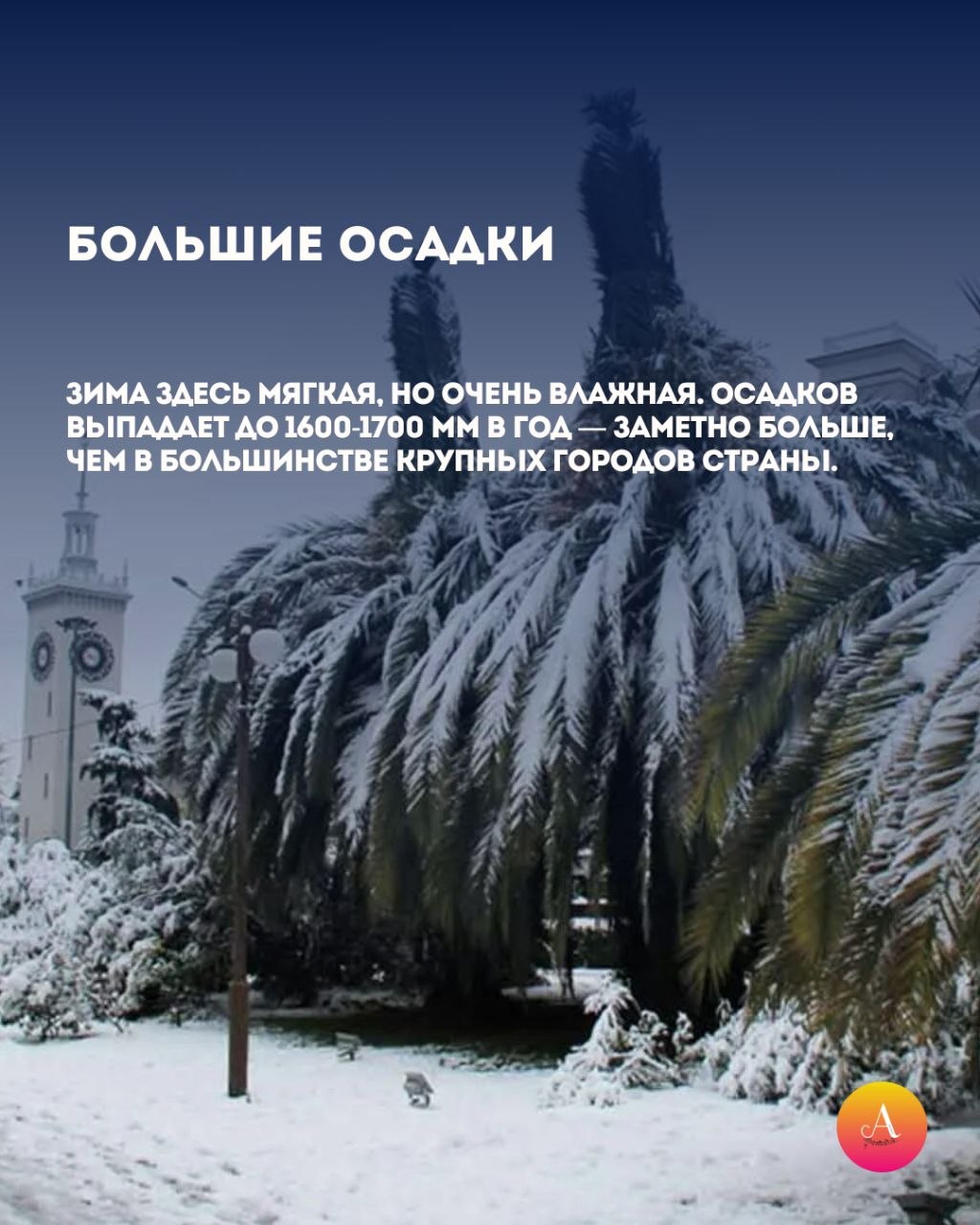 Сочи ломает географию. Мы собрали для вас самые неожиданные факты, после которых вы обязательно зададите вопрос: «А это точно в России?» 5 вещей о Сочи, легко ломающих привычное представление о климате и пространстве, в... Сочи ломает географию. Мы собрали для вас самые неожиданные факты, после которых вы обязательно зададите вопрос: «А это точно в России?» 5 вещей о Сочи, легко ломающих привычное представление о климате и пространстве, в...