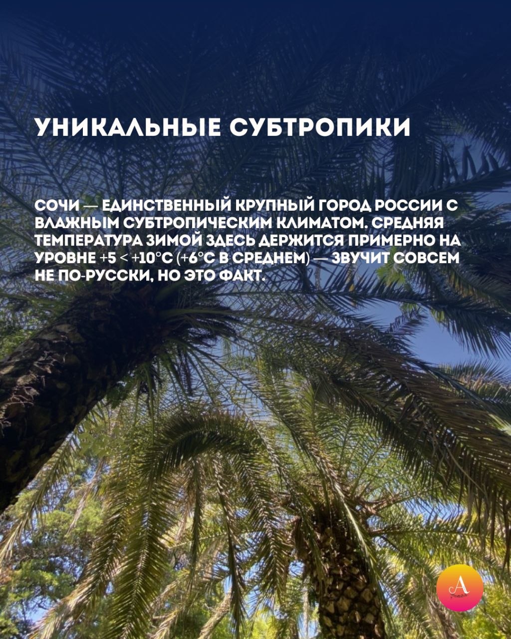 Сочи ломает географию. Мы собрали для вас самые неожиданные факты, после которых вы обязательно зададите вопрос: «А это точно в России?» 5 вещей о Сочи, легко ломающих привычное представление о климате и пространстве, в... Сочи ломает географию. Мы собрали для вас самые неожиданные факты, после которых вы обязательно зададите вопрос: «А это точно в России?» 5 вещей о Сочи, легко ломающих привычное представление о климате и пространстве, в...