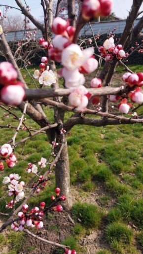 � ������ �� 23 �����. � ������������� ���� ���������� ����������