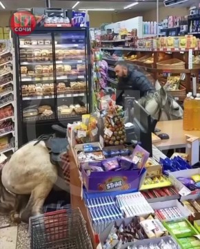 ������ �� ����� ���� ��������� ����������� ������� � ������� ������