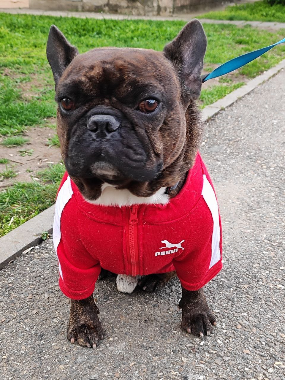 Доброе утро, Кубань!. Краснодар +7…+14°С Доброе утро, Кубань!. Краснодар +7…+14°С