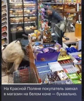 В сети Интернет распространяется публикация, в которой сообщается о том, что в п. Красная Поляна мужчина на лошади заехал в один из магазинов