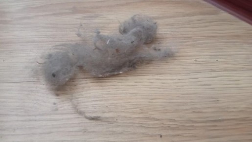 ������� ������ �������: ��� �� ����� ������� ���� � ����� ����