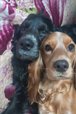 ������ ����, ������!. ��������� +14 ��