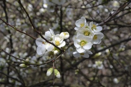 ������ ����, ������� �������!