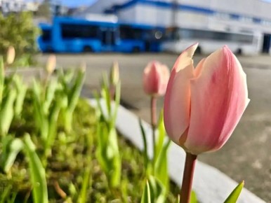 ������ ����!. ����� ����� � Telegram | ���