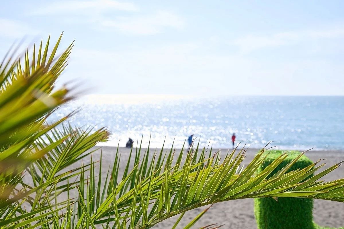 Глава Сочи Андрей Прошунин принял участие в краевом совещании по подготовке к курортному сезону Глава Сочи Андрей Прошунин принял участие в краевом совещании по подготовке к курортному сезону