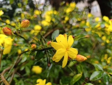 Доброе утро, любимый город!