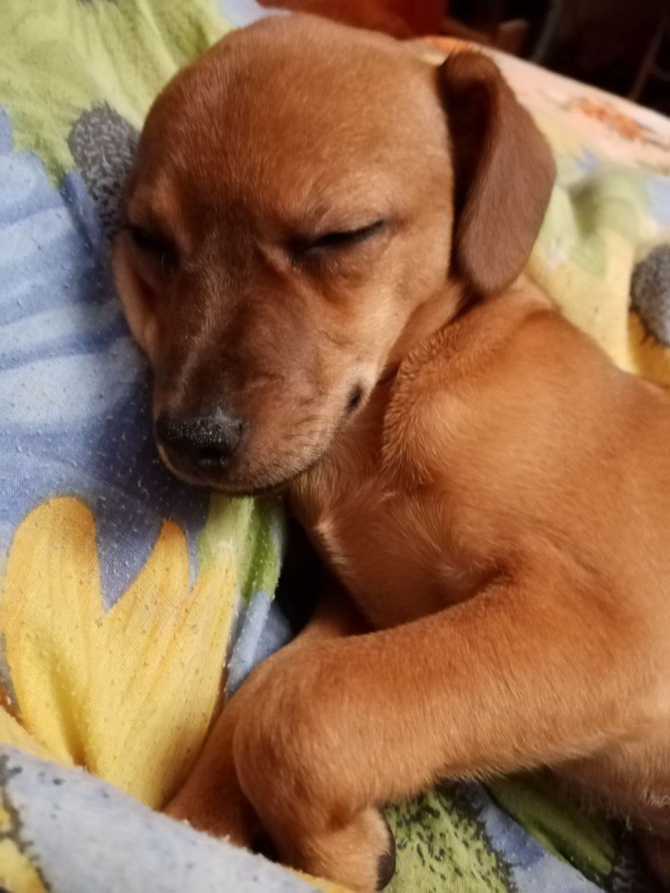 Доброе утро, Кубань!. Краснодар +13 °С Доброе утро, Кубань!. Краснодар +13 °С