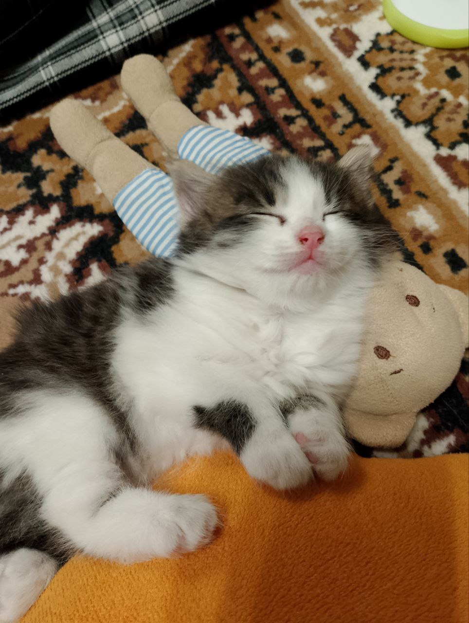 Доброе утро, Кубань!. Краснодар +13 °С Доброе утро, Кубань!. Краснодар +13 °С