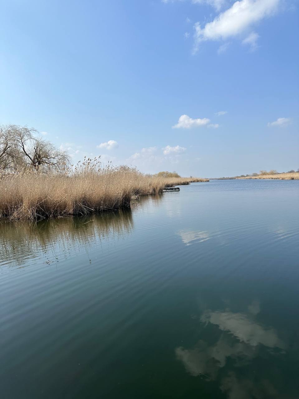 О погоде на 26 марта . В Краснодарском крае облачно с прояснениями