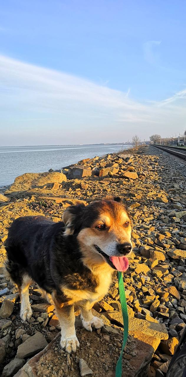 О погоде на 26 марта . В Краснодарском крае облачно с прояснениями О погоде на 26 марта . В Краснодарском крае облачно с прояснениями