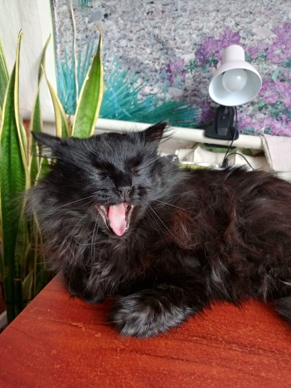 Доброе утро, Кубань!. Краснодар +13 °С Доброе утро, Кубань!. Краснодар +13 °С