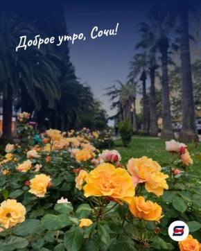 Доброе утро!. Факт о Сочи: именно здесь в 1898 году появился курортный парк — «Ривьера»