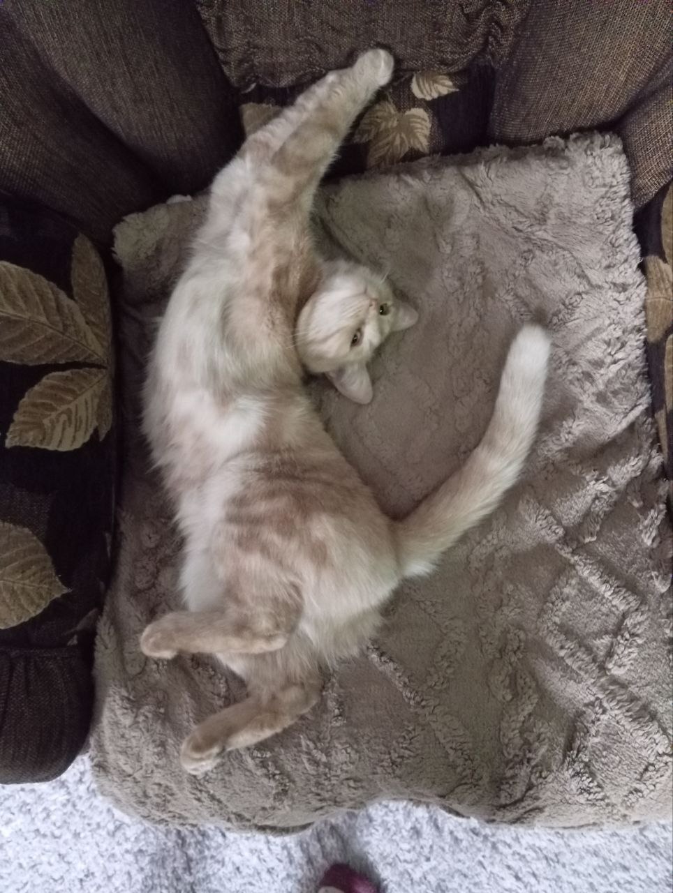 Доброе утро, Кубань!. Краснодар +15 °С Доброе утро, Кубань!. Краснодар +15 °С