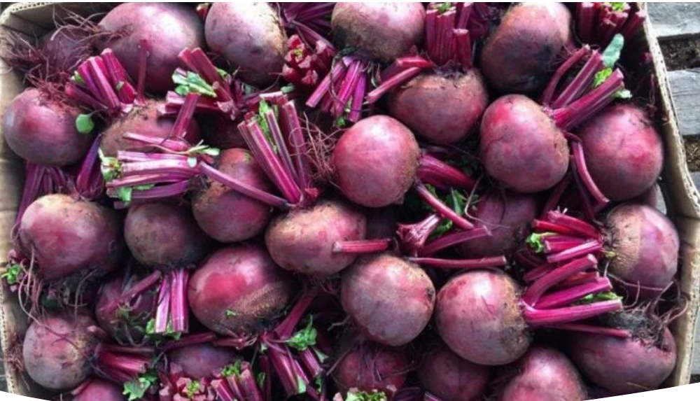 Как сохранить свеклу в городской квартире: практическое руководство