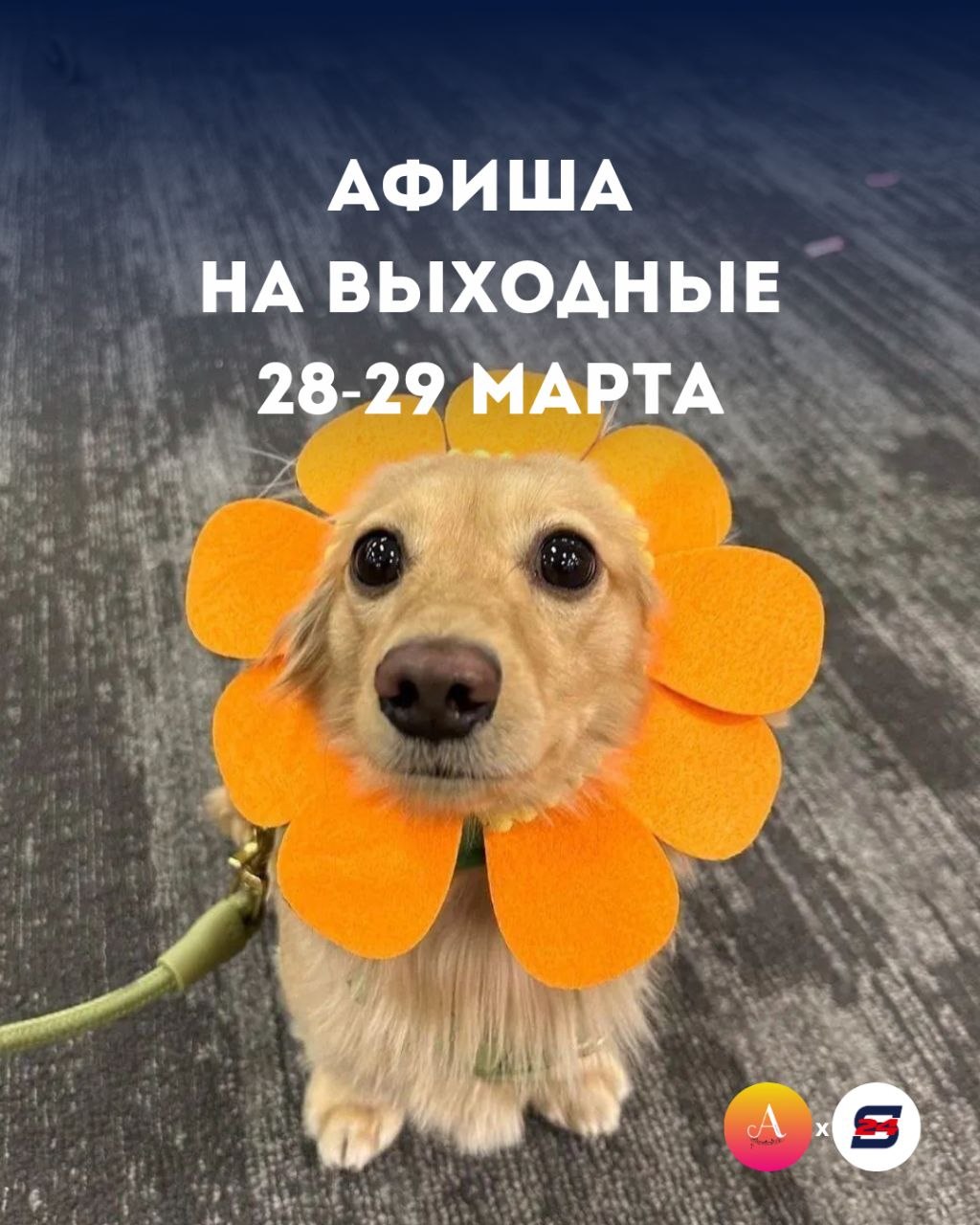 Планы на выходные 28-29 марта уже есть!