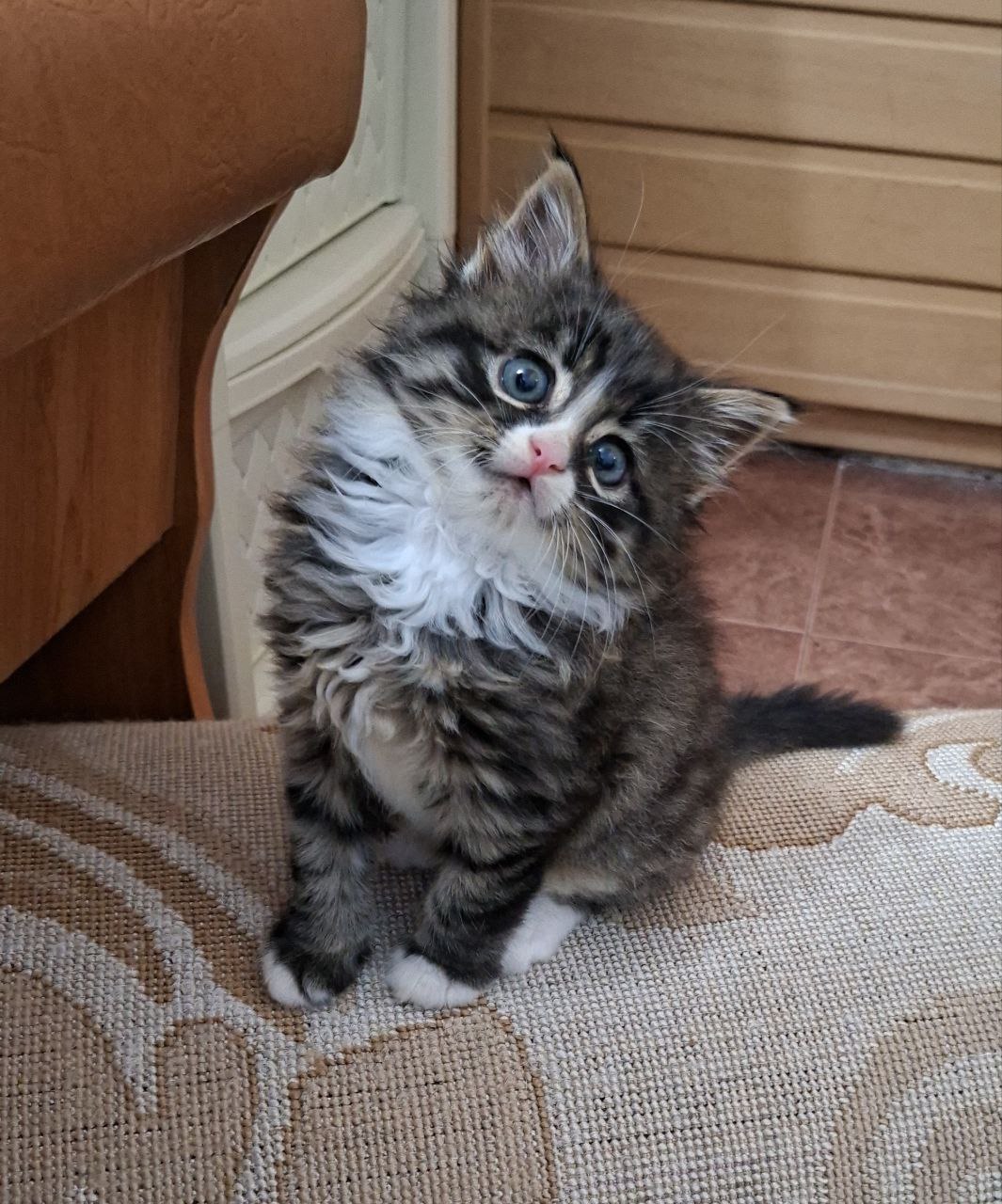 Доброе утро, Кубань!. Краснодар +18 °С Доброе утро, Кубань!. Краснодар +18 °С