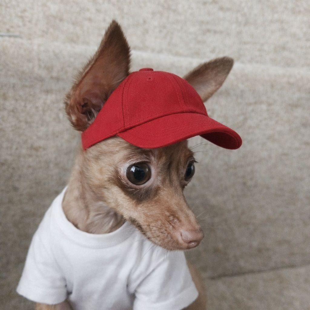 Доброе утро, Кубань!. Краснодар +18 °С Доброе утро, Кубань!. Краснодар +18 °С